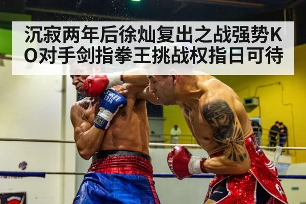 boxer knockout punch